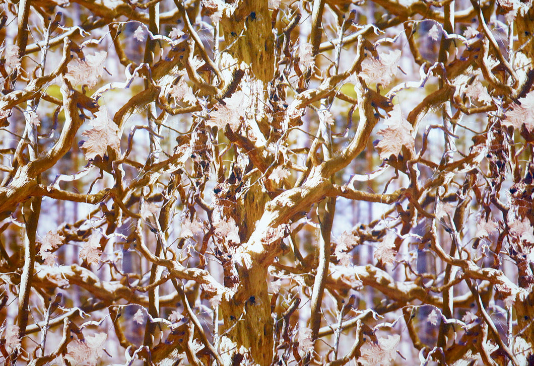 3D Camo - Kansas Hydrographics