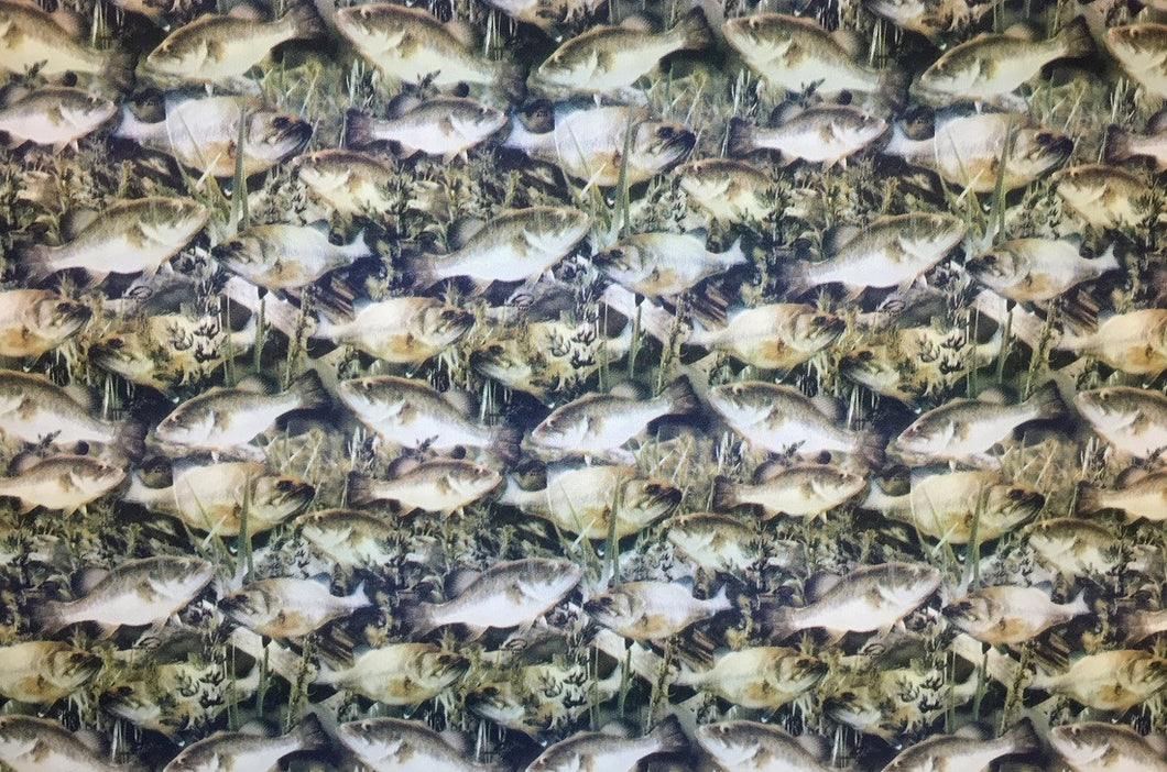 Bass - Kansas Hydrographics