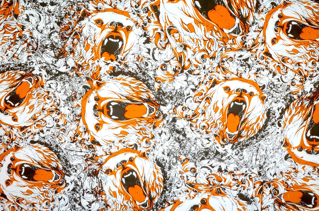 Bears - Kansas Hydrographics