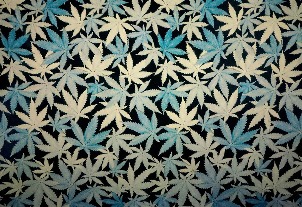 Black Kush - Kansas Hydrographics