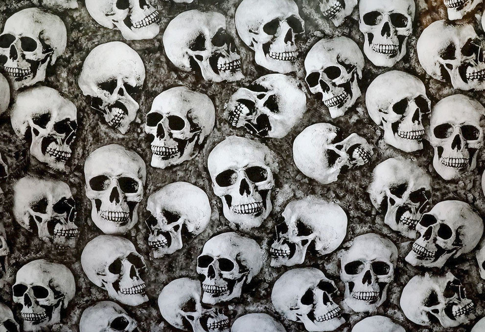 Bone Heads - Kansas Hydrographics