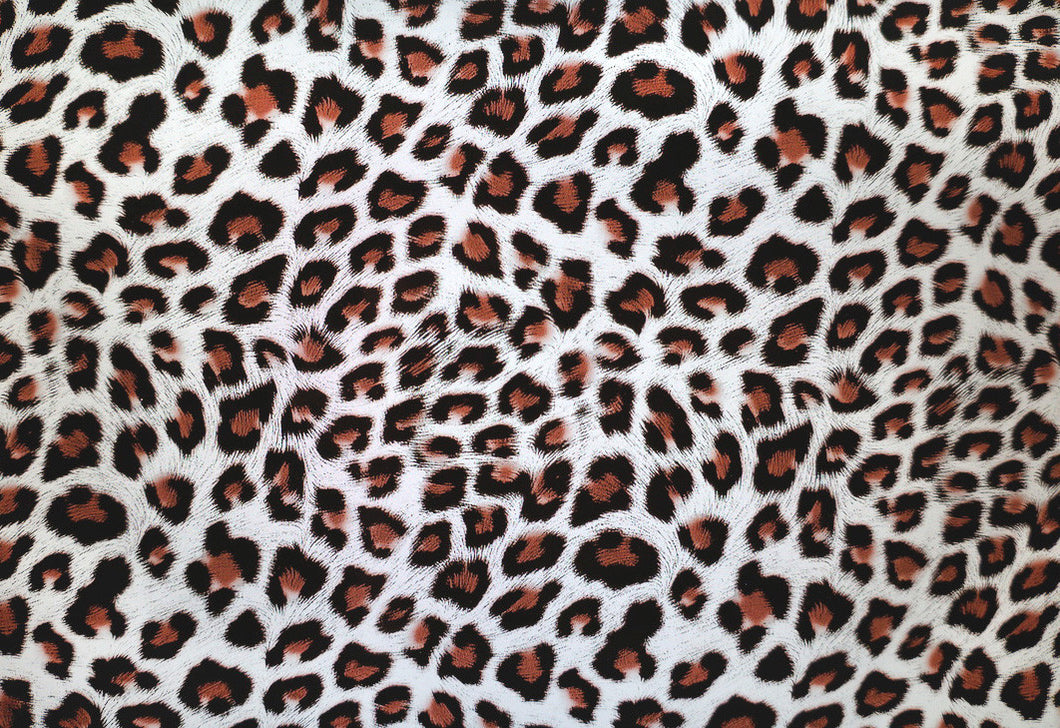 Brown & Black Leopard - Kansas Hydrographics