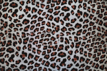 Animal Kit - Kansas Hydrographics