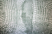 Animal Kit - Kansas Hydrographics