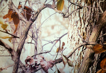 Camo Kit - Kansas Hydrographics