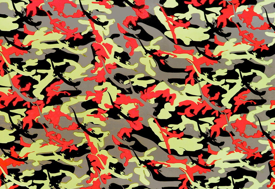 Gecko Camo - Kansas Hydrographics