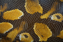 Animal Kit - Kansas Hydrographics