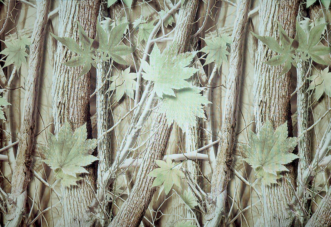 Green Star Leaf - Kansas Hydrographics