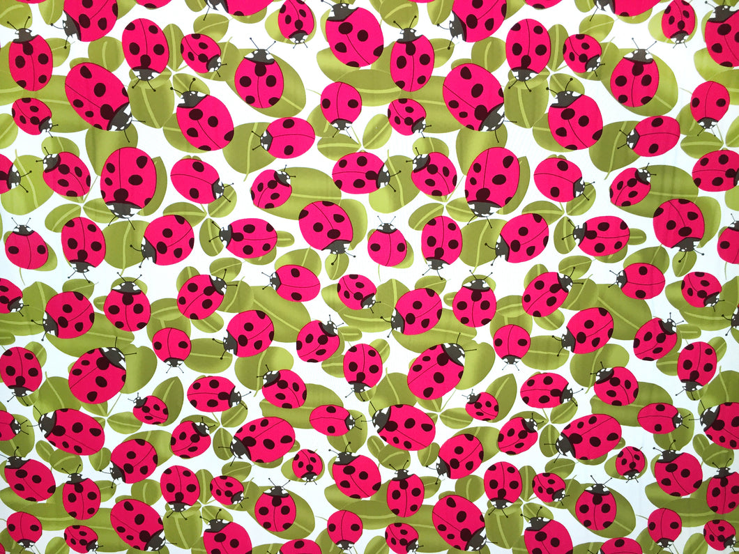 Ladybug - Kansas Hydrographics