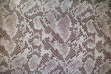 Animal Kit - Kansas Hydrographics