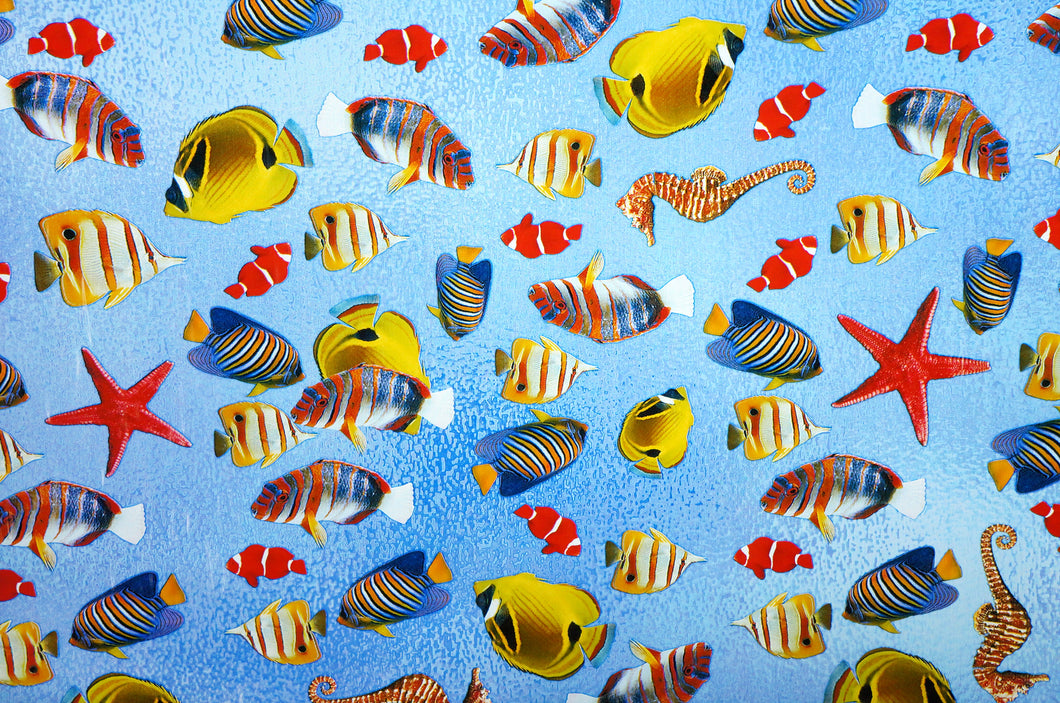 Saltwater Fish - Kansas Hydrographics