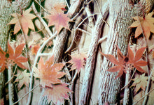 Camo Kit - Kansas Hydrographics