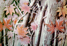 Camo Kit - Kansas Hydrographics