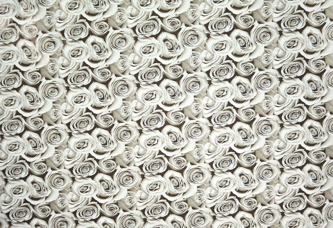 Transparent Roses