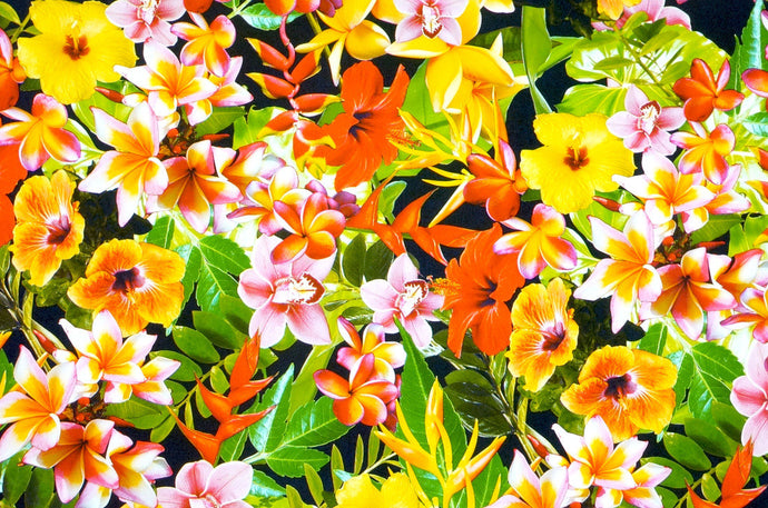 Tropical Flowers - Kansas Hydrographics