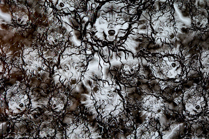 Timberwolf - Kansas Hydrographics