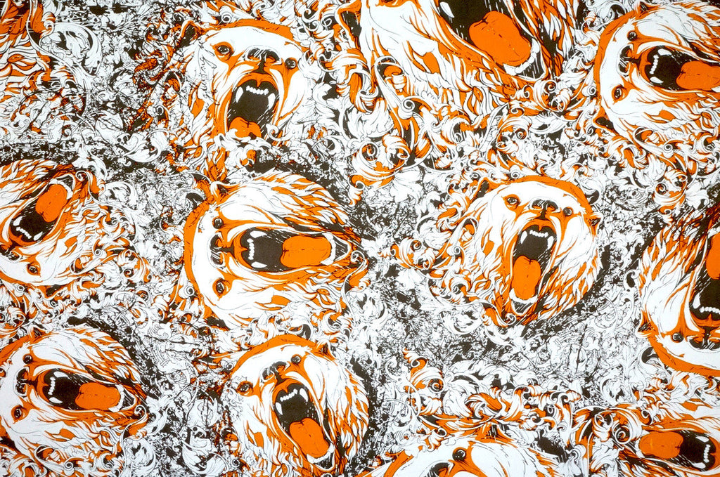 Bears – Kansas Hydrographics