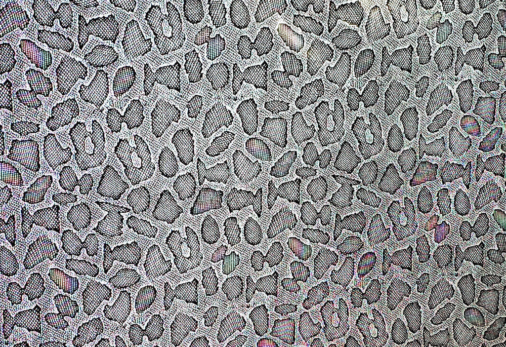 Black Micro Snakeskin – Kansas Hydrographics