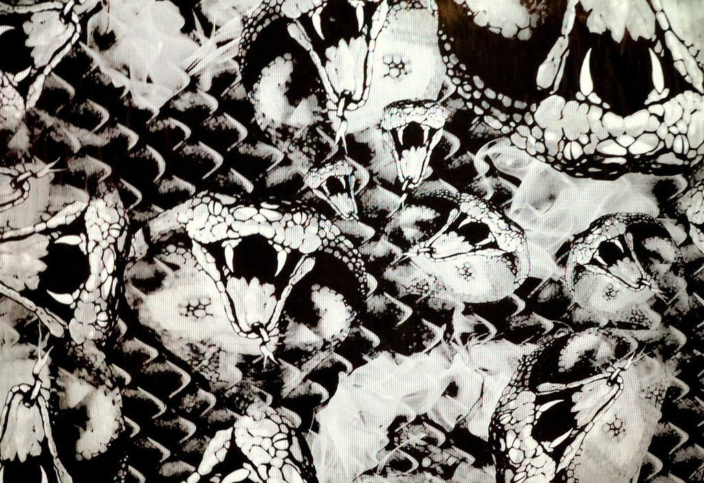 Cobra – Kansas Hydrographics