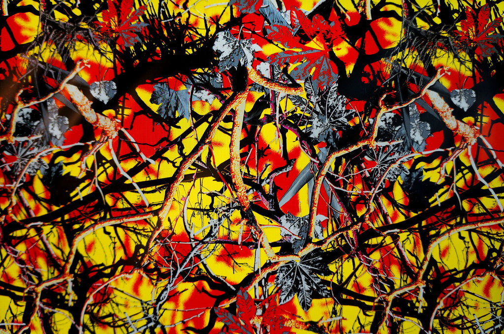 Country Boy – Kansas Hydrographics