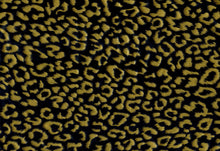 Gold Leopard - Kansas Hydrographics