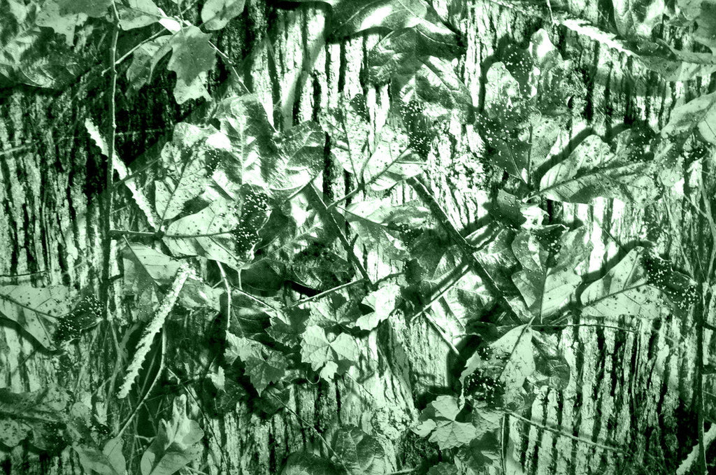 Midnight Camo – Kansas Hydrographics