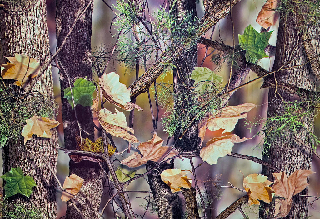 Pine Wood – Kansas Hydrographics