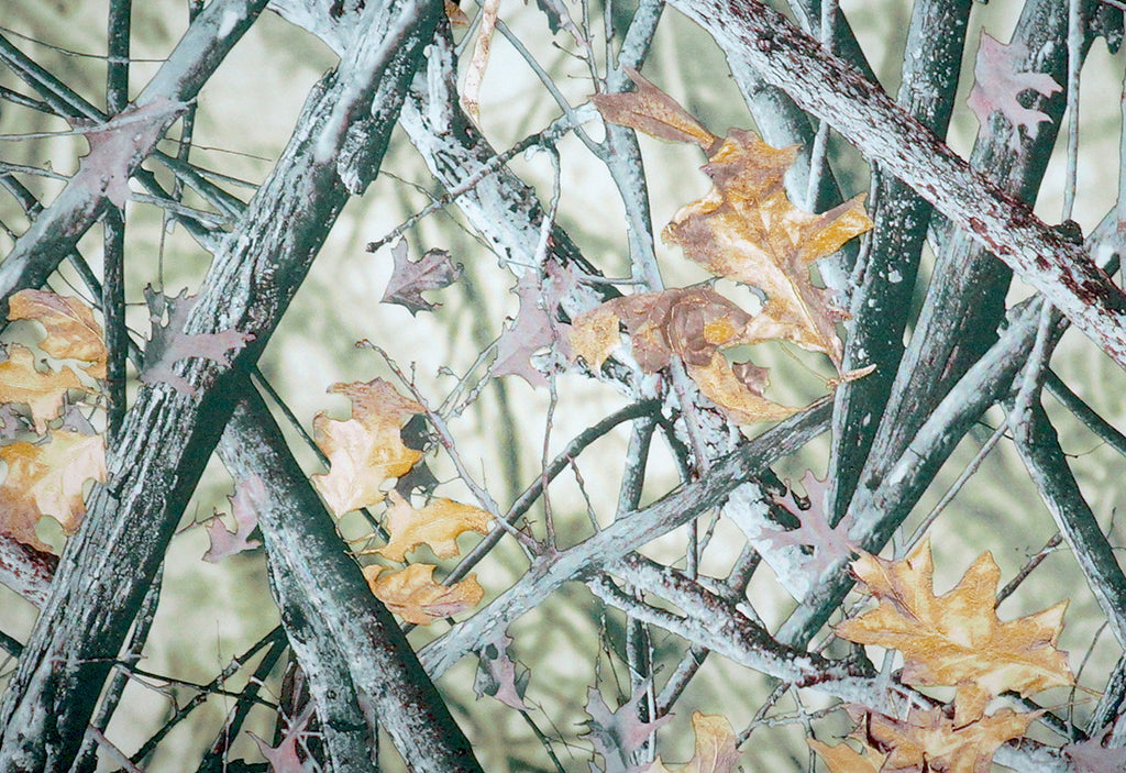 True Woods – Kansas Hydrographics