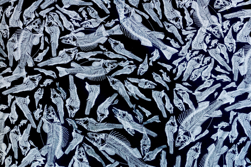 Fish Skeleton - Kansas Hydrographics